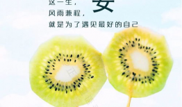 早安视频图片加音乐,音乐唤醒美好一天