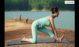 瑜伽入门视频,入门视频精华解析